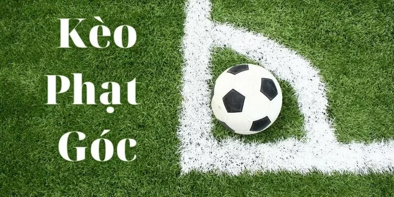 Kèo Phạt Góc là gì? Những kiến thức cơ bản về kèo Phạt Góc 2 Tổng hợp các kiểu cược kèo phạt góc phổ biến nhất